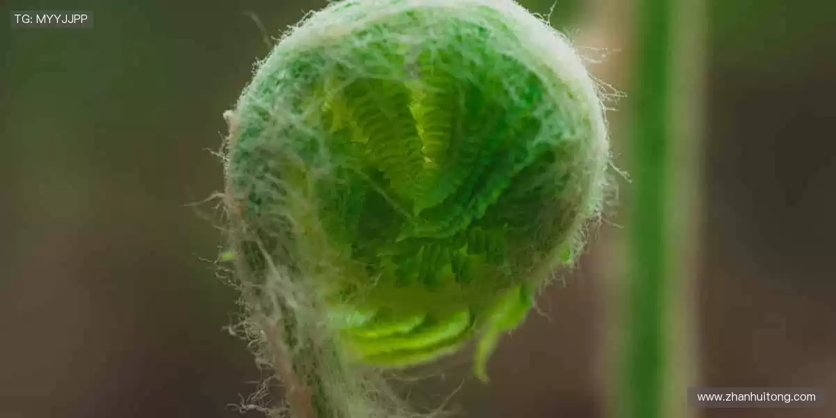 每一件，都是热爱的见证！🏅🎨